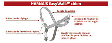 harnais easy walk1.jpg